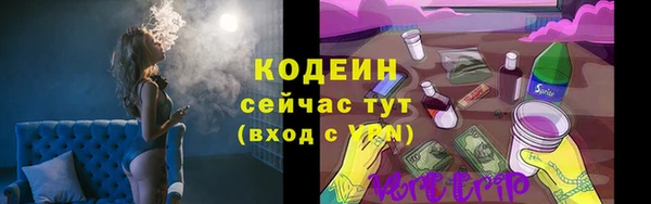 прущие грибы Белоозёрский