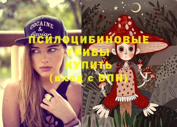 прущие грибы Белоозёрский