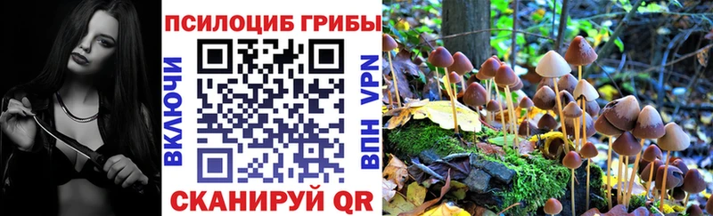 как найти закладки  Соль-Илецк  Галлюциногенные грибы GOLDEN TEACHER 