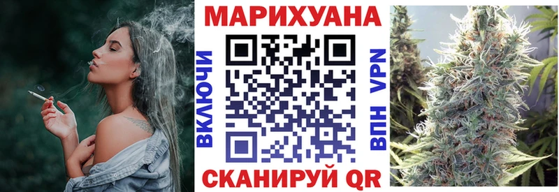 Конопля гибрид  Соль-Илецк 
